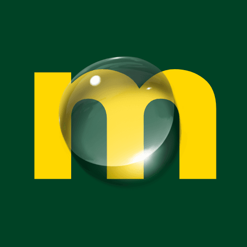 Maxwell Earth Systems logo